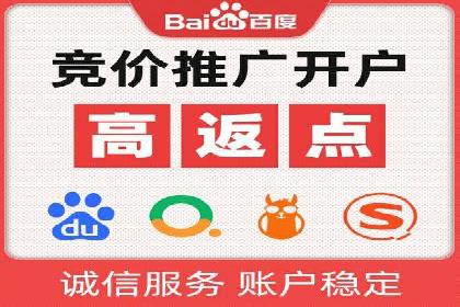 搜索引擎优化（SEO）在百度上的应用案例研究